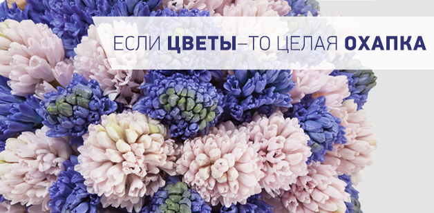 Цветовик промокод для скидки. Смотреть фото Цветовик промокод для скидки. Смотреть картинку Цветовик промокод для скидки. Картинка про Цветовик промокод для скидки. Фото Цветовик промокод для скидки